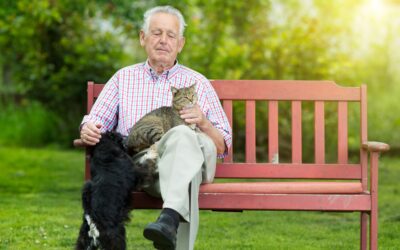 The Importance of Companionship in Live-in Care